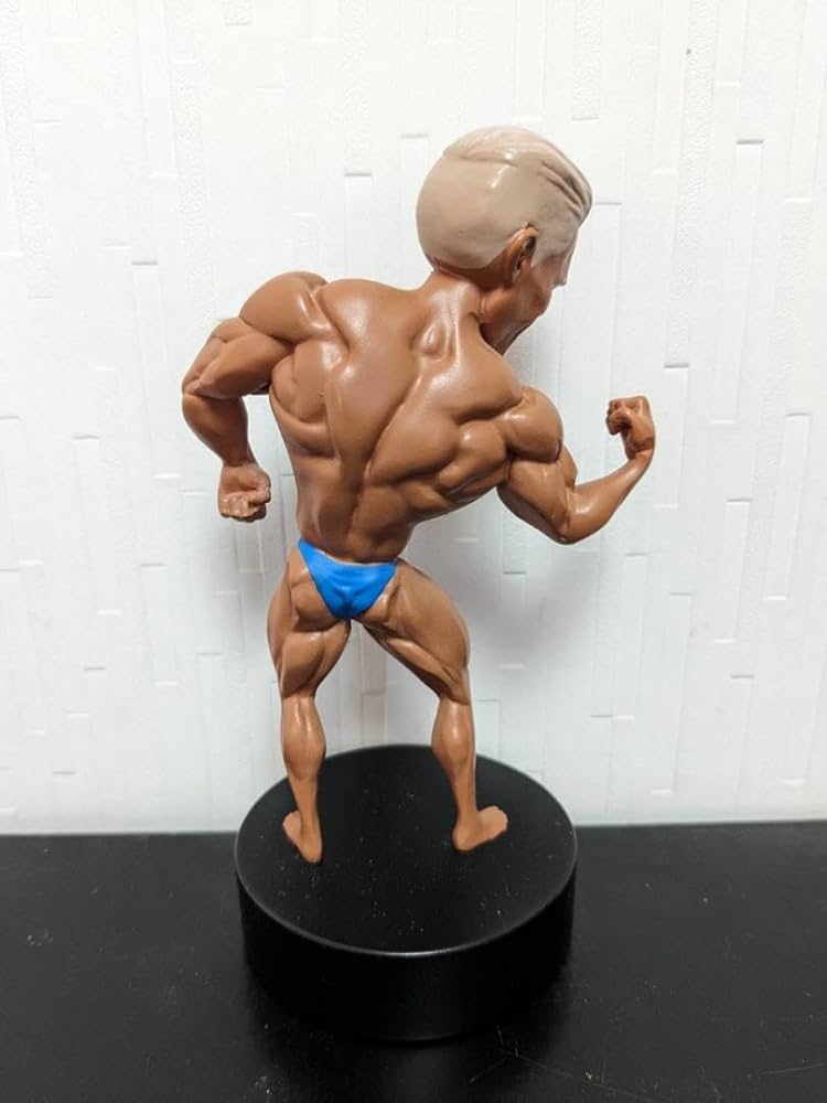 iron dolls ショーン・レイ フィギュア マッチョフィギュア Amazon.co.jp: iron dolls ショーン・レイ フィギュア マッチョ